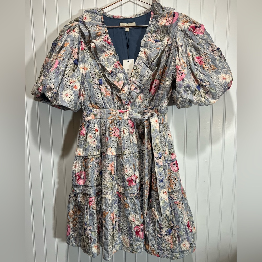 Dance & Marvel Tier Embroidered Spring Mini Dress - Picture 5 of 14